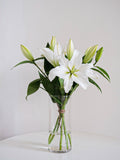 Oriental Lillies